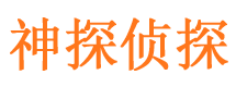 中阳侦探公司